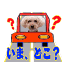 お友達の挨拶スタンプ（個別スタンプ：13）