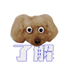 お友達の挨拶スタンプ（個別スタンプ：14）