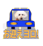 お友達の挨拶スタンプ（個別スタンプ：15）