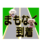 お友達の挨拶スタンプ（個別スタンプ：16）