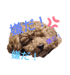 お豆の毎日（個別スタンプ：3）