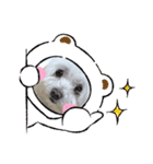私のスタンプのリュウ⑤（個別スタンプ：14）