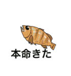 釣り人のためのスタンプ！（個別スタンプ：6）
