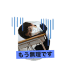 いもさとののスタンプ（個別スタンプ：5）