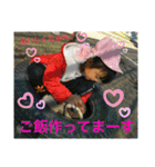 LINEで使いたいスタンプ（個別スタンプ：23）