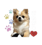 fcocoスタンプ（個別スタンプ：8）
