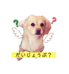 mixマームちゃんU・x・U（個別スタンプ：17）