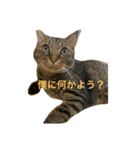 僕と弟（個別スタンプ：3）