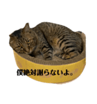 僕と弟（個別スタンプ：7）