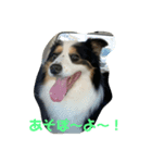 サッカー小僧 祢央（個別スタンプ：2）