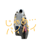 サッカー小僧 祢央（個別スタンプ：8）