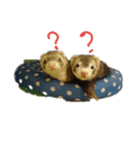 にょろにょろ2本（個別スタンプ：1）