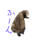 にょろにょろ2本（個別スタンプ：4）