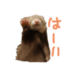 にょろにょろ2本（個別スタンプ：6）