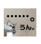 アンジュスタンプ4（個別スタンプ：8）