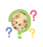 愛犬陸2（個別スタンプ：13）