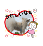 愛犬陸2（個別スタンプ：17）