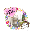 愛犬陸2（個別スタンプ：21）