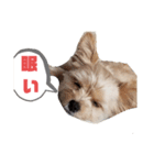 チョコミント日常（個別スタンプ：4）