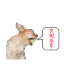 チョコミント日常（個別スタンプ：5）