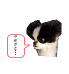 チョコミント日常（個別スタンプ：8）