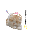 nyan__zoo（個別スタンプ：3）