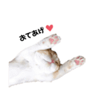 nyan__zoo（個別スタンプ：5）