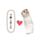nyan__zoo（個別スタンプ：7）