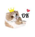 nyan__zoo（個別スタンプ：10）