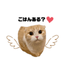 nyan__zoo（個別スタンプ：12）