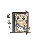 守るネコ-new（個別スタンプ：8）