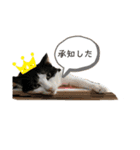 ムサまる水産（個別スタンプ：4）