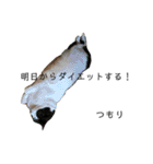 ムサまる水産（個別スタンプ：6）