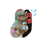 きな子はんの日常パート4（個別スタンプ：2）