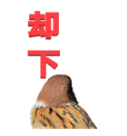 漢字二文字(仕事用)をスズメから～BIG（個別スタンプ：19）