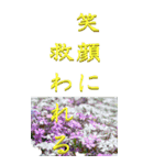 子育て奮闘中(花入り)～BIG（個別スタンプ：1）