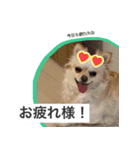 ウチの妹ビビちゃん（個別スタンプ：4）