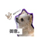 ウチの妹ビビちゃん（個別スタンプ：6）