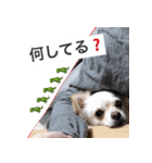 ウチの妹ビビちゃん（個別スタンプ：8）