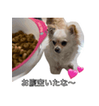 ウチの妹ビビちゃん（個別スタンプ：9）