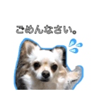 ウチの妹ビビちゃん（個別スタンプ：10）