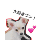 ウチの妹ビビちゃん（個別スタンプ：14）