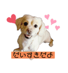 mix犬マームU・x・U（個別スタンプ：14）