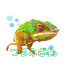 やまぐち動物園（個別スタンプ：2）