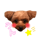 やまぐち動物園（個別スタンプ：7）
