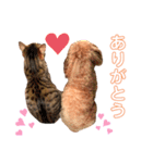 やまぐち動物園（個別スタンプ：8）