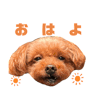やまぐち動物園（個別スタンプ：13）