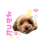 やまぐち動物園（個別スタンプ：15）