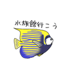 お魚図鑑(タテジマキンチャクダイ)（個別スタンプ：1）