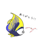 お魚図鑑(タテジマキンチャクダイ)（個別スタンプ：3）